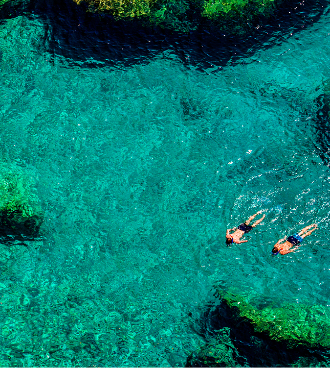 Background liên hệ