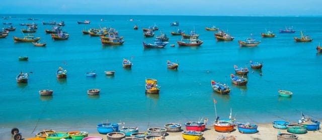 Vi vu cùng Lạc Sanh