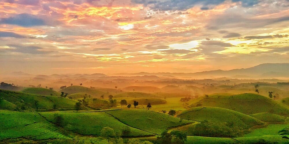 Đi chơi cùng Lạc Sanh